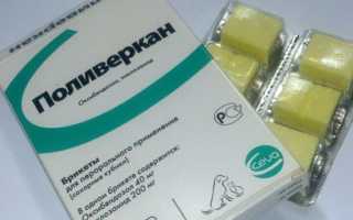 Корм для кошек LiveRa: отзывы и разбор состава