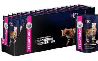 Корм для кошек Eukanuba — плюсы и минусы