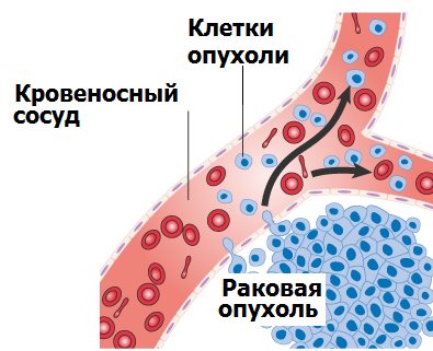 Диссеминация