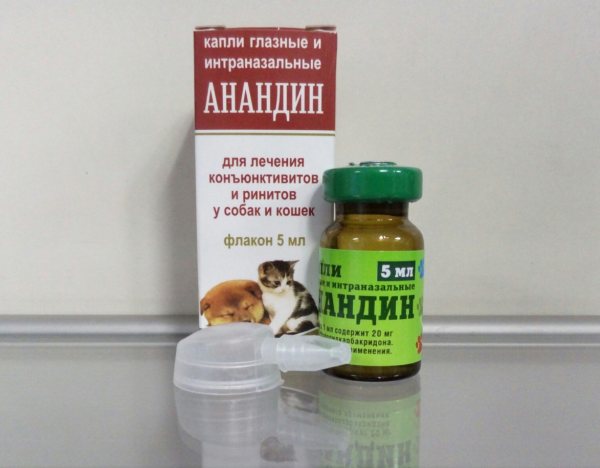 глаз