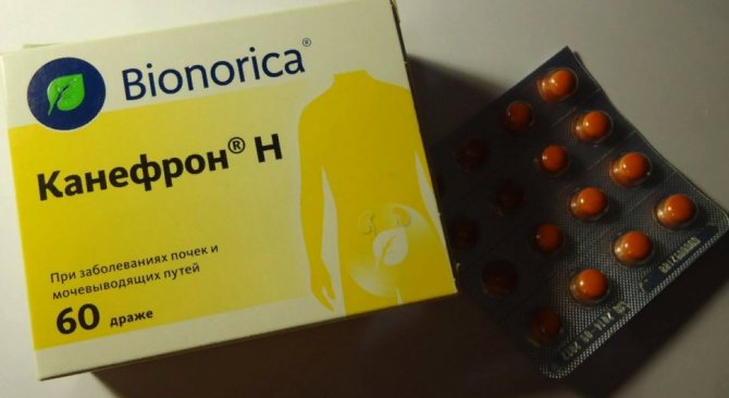 Препарат Канефрон